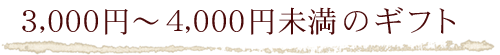 3000円〜4000円未満のギフト