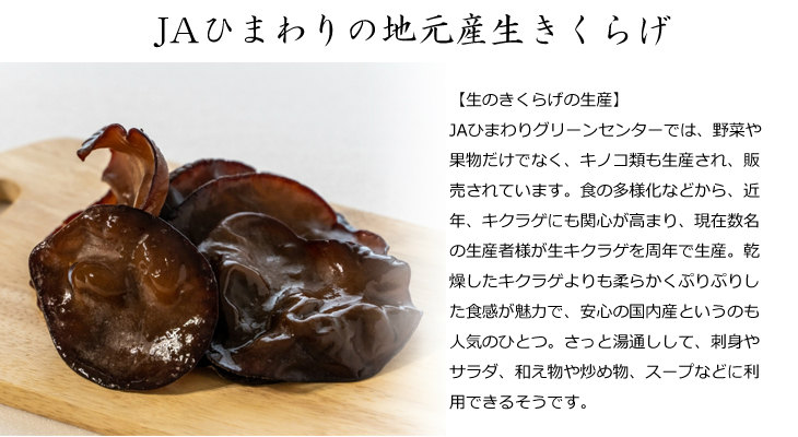 JAひまわり様国産生キクラゲ