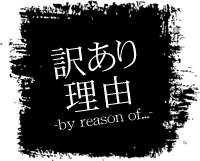 アウトレット理由